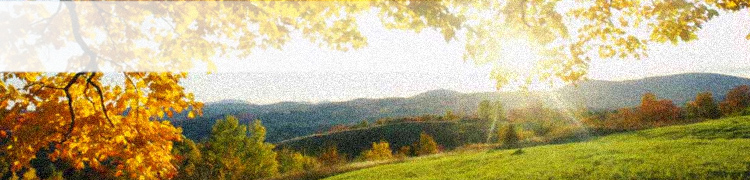 Zahradnick prce - Miroslav Radil, DiS